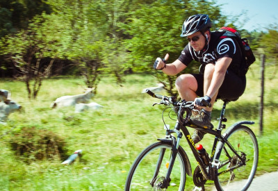 Pecsételj és nyerj! 