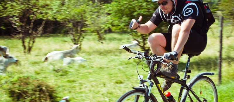 Pecsételj és nyerj! 